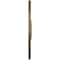 Ekena Millwork Bradford Ceiling Medallion (Fits Canopies up to 6 5/8"), 32 5/8"OD x 2"P, Mississippi Mud CM32BRMMF - alternate 2